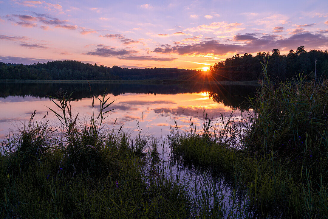 Evening mood at the large Ostersee, Bavaria, Germany, Europe