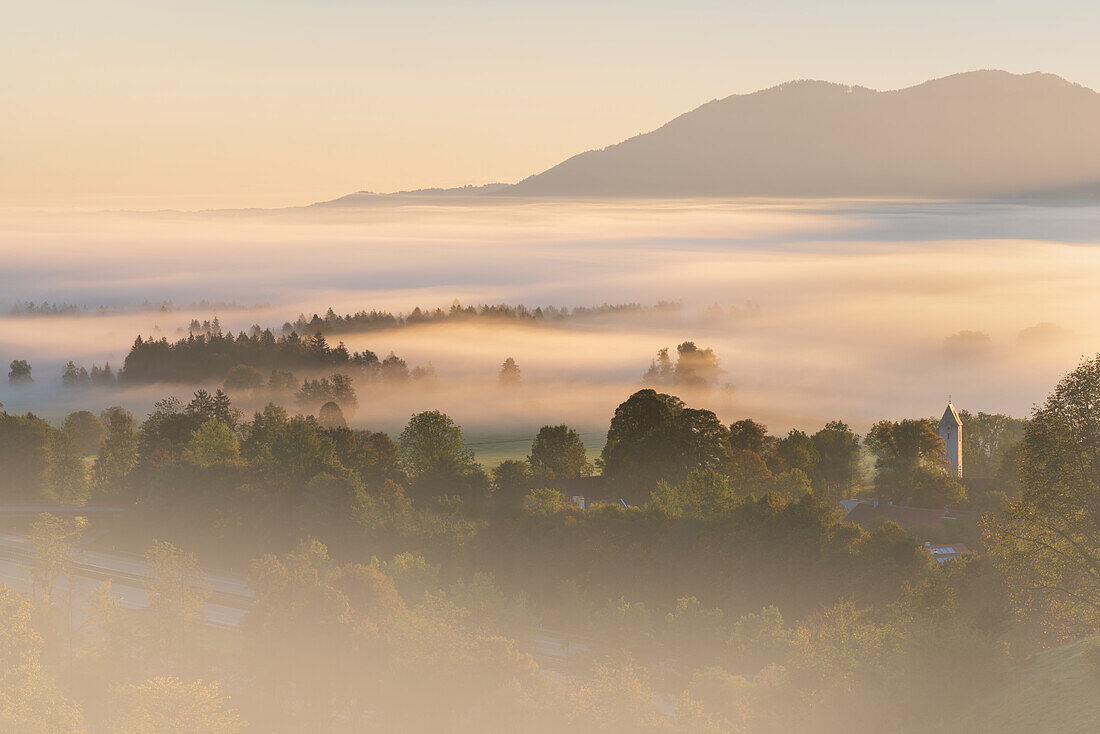 Beautiful foggy morning in the Kochelmoos in September, Sindesldorf, Großweil, Bavaria, Germany