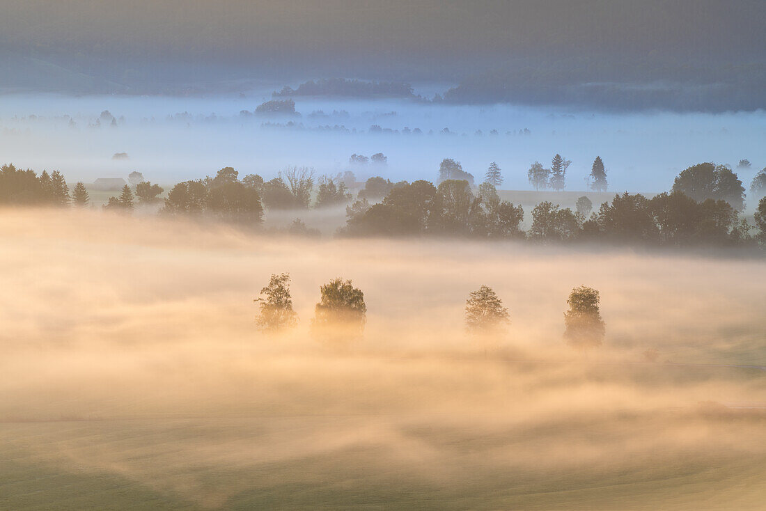 Herrlicher Nebelmorgen im Kochelmoos im September, Sindesldorf, Großweil, Bayern, Deutschland