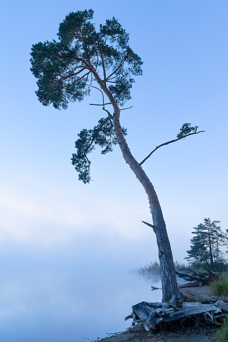 Misty early autumn morning at the large Ostersee, Bavaria, Germany, Europe