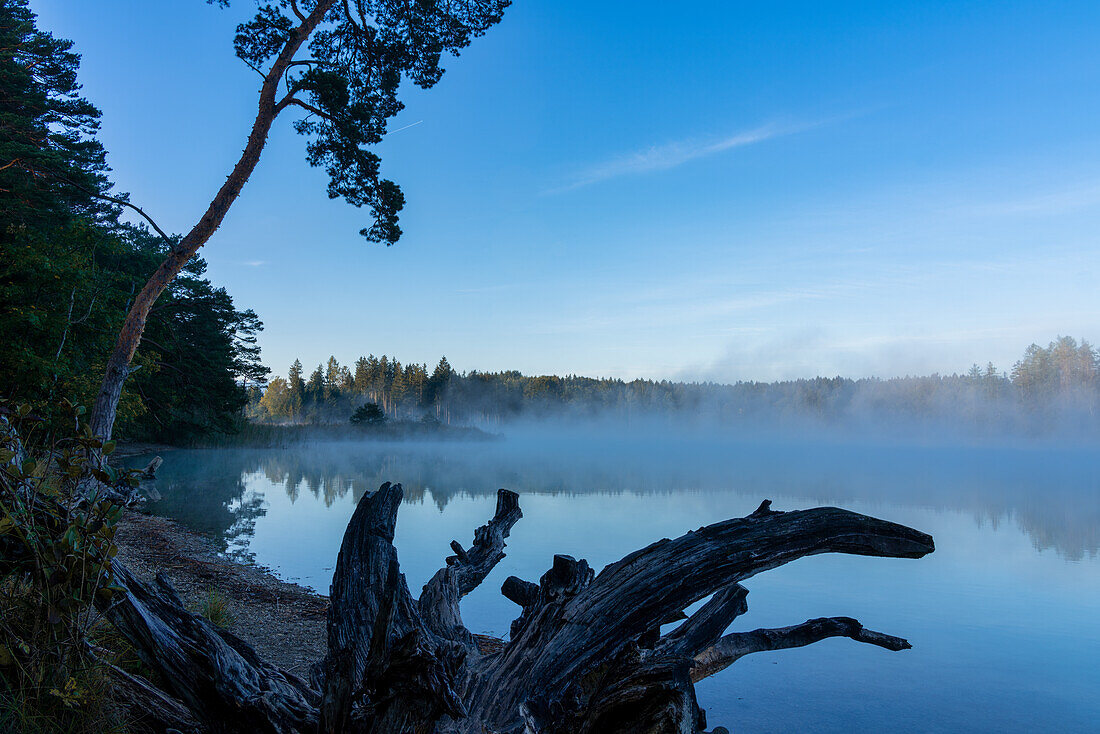 Misty early autumn morning at the large Ostersee, Bavaria, Germany, Europe