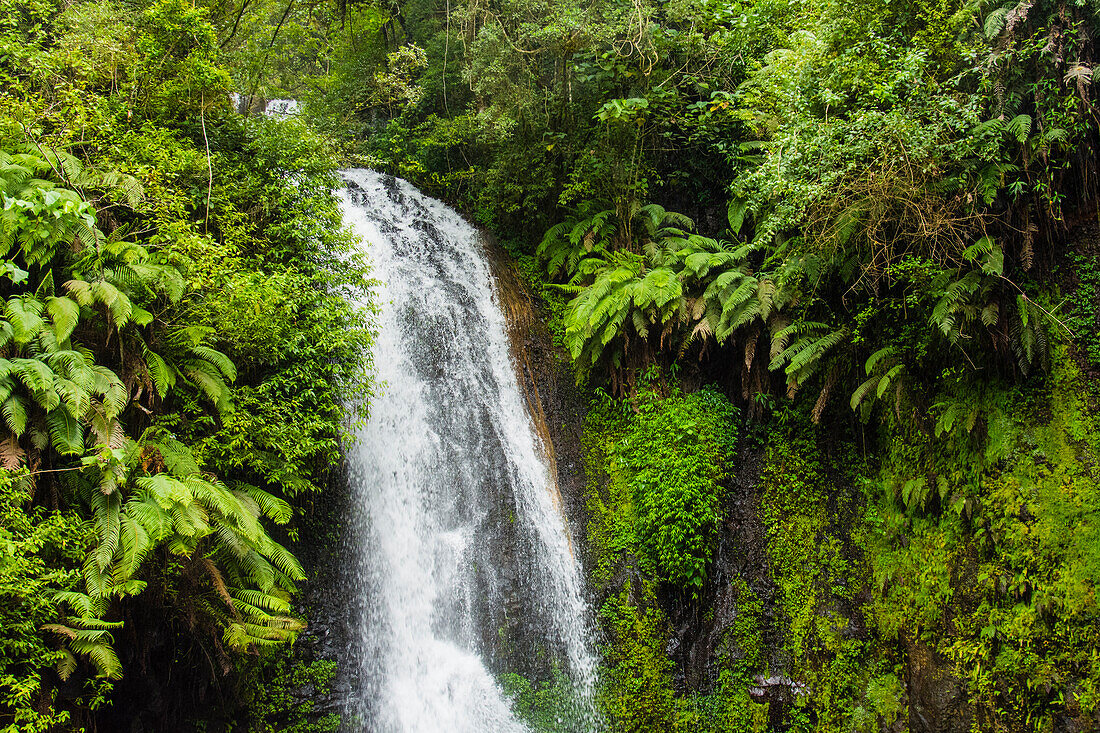 Madagaskar, Antsiranana. Amber Mountain National Park-Wasserfall.