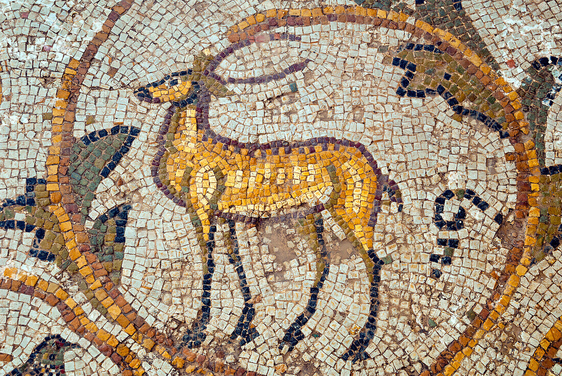 Hirsch-Mosaik, neues Haus der Jagd, Archäologische Stätte Bulla Regia, Tunesien, Nordafrika