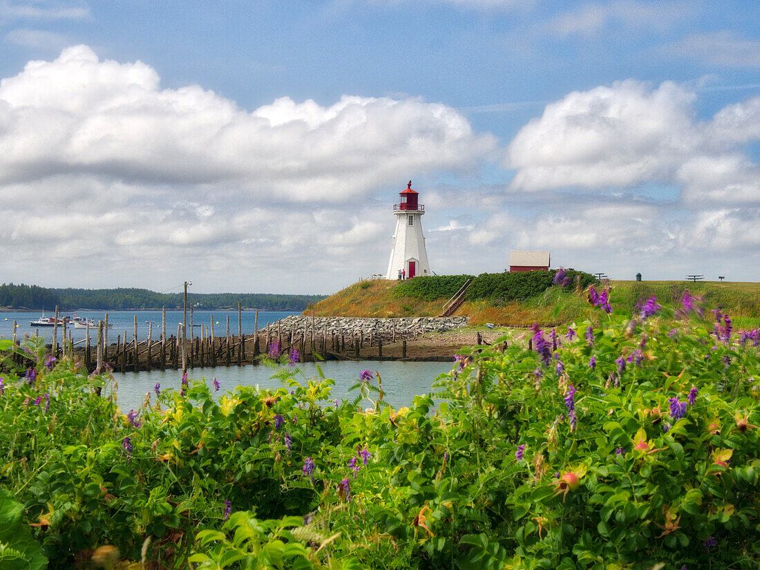 Kanada, New Brunswick, Campobello Island. Mulholland Point Leuchtturm.