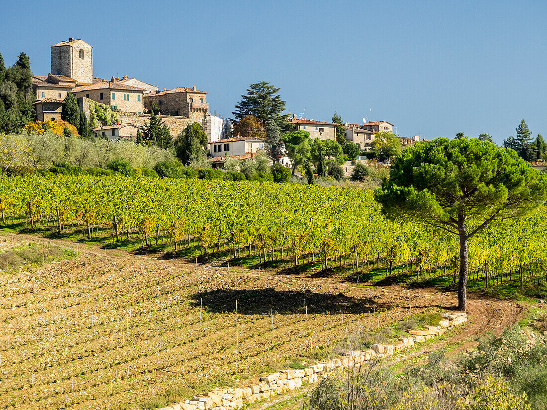 Europe, Italy, Chianti. Tuscan homes in the town of Panzano with vineyard below.