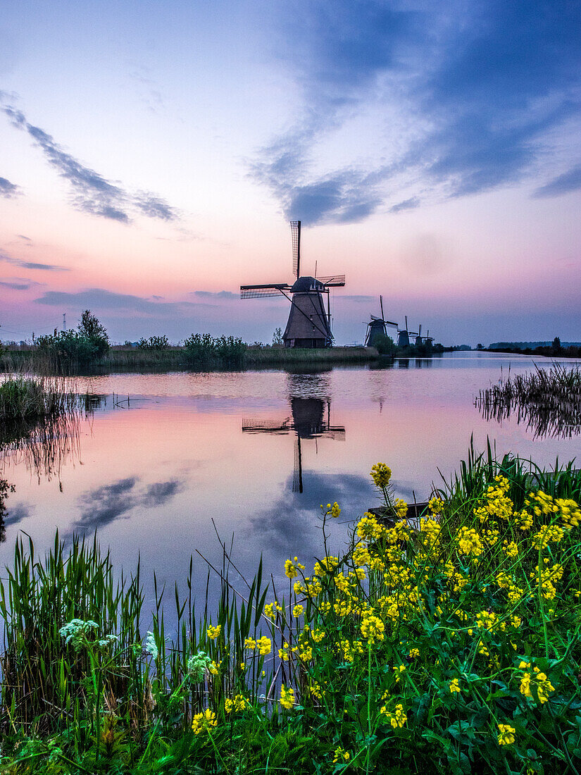 Niederlande, Kinderdijk, Windmühlen bei Sonnenaufgang entlang der Kanäle von Kinderdijk
