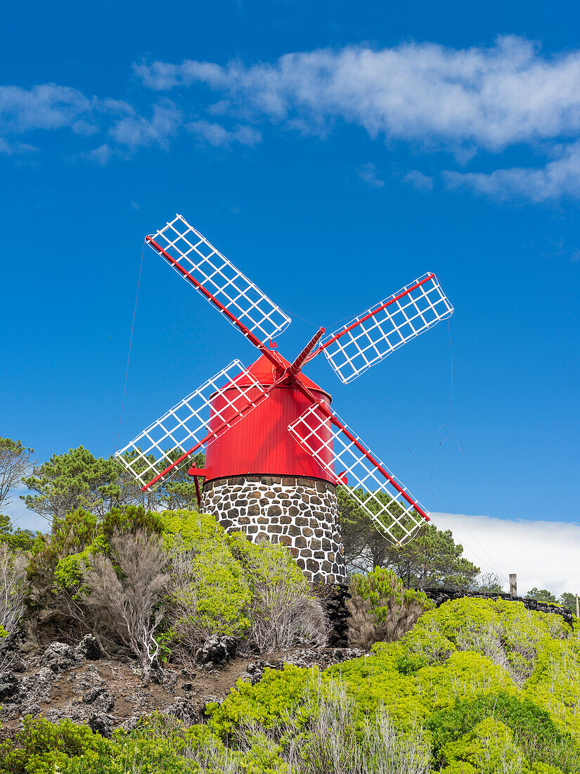 Traditionelle Windmühle in der Nähe von Sao Joao. Pico Island, eine Insel der Azoren im Atlantischen Ozean. Die Azoren sind eine autonome Region Portugals.