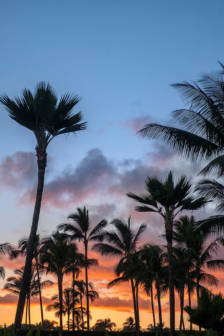 Tropical sunset