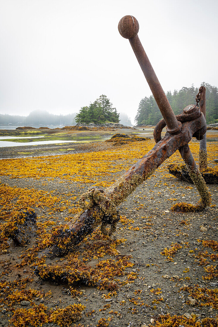 USA, Alaska, Sitka. Old anchors at ocean low tide