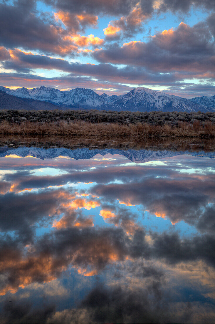 USA, California, Owens Valley. Sierra Crest seen from Buckley Ponds at sunset