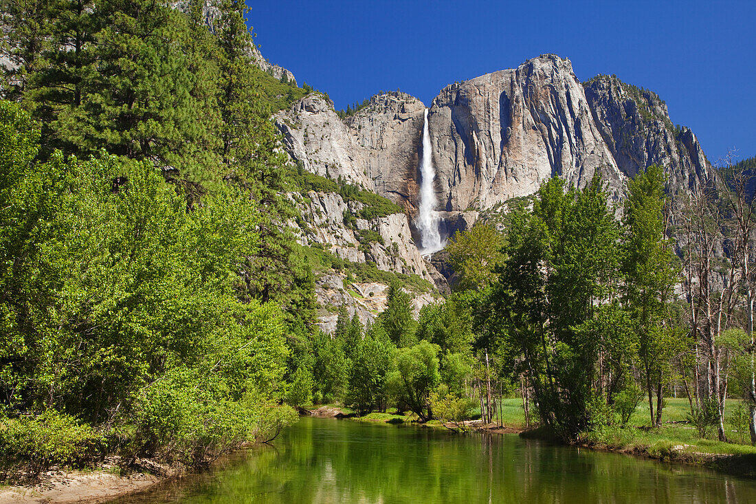 USA, California, Yosemite National Park. Yosemite Falls and Merced River landscape
