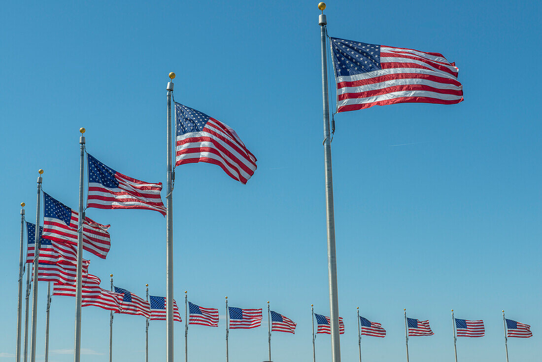 Flags by Washington Monument, Washington DC, Usa