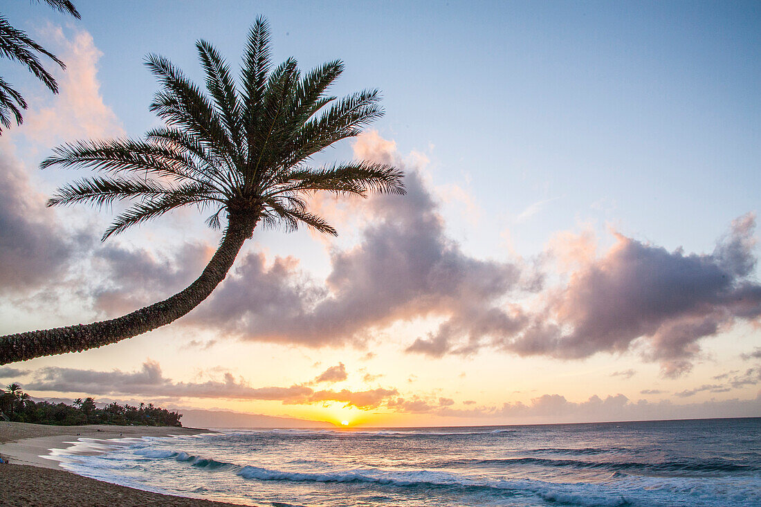 USA, Hawaii, Oahu, North Shore bei Sonnenuntergang und Palme