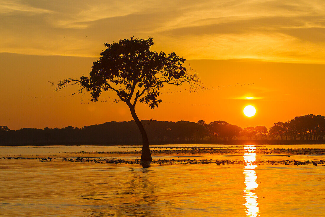 USA, Louisiana. Sonnenaufgang am Millers Lake