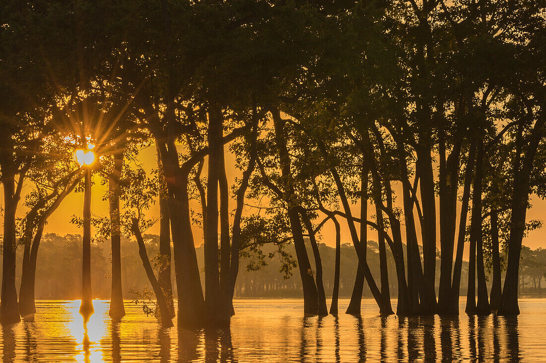 USA, Louisiana. Sonnenaufgang am Millers Lake