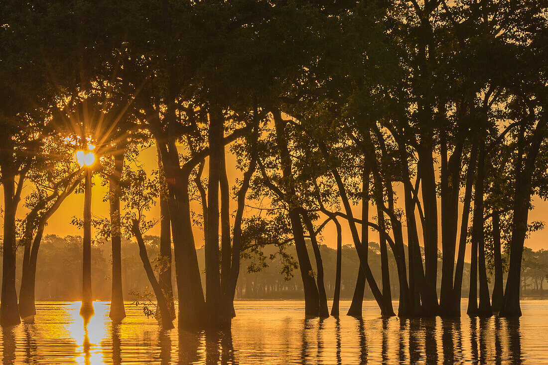 USA, Louisiana. Sunrise on Miller's Lake