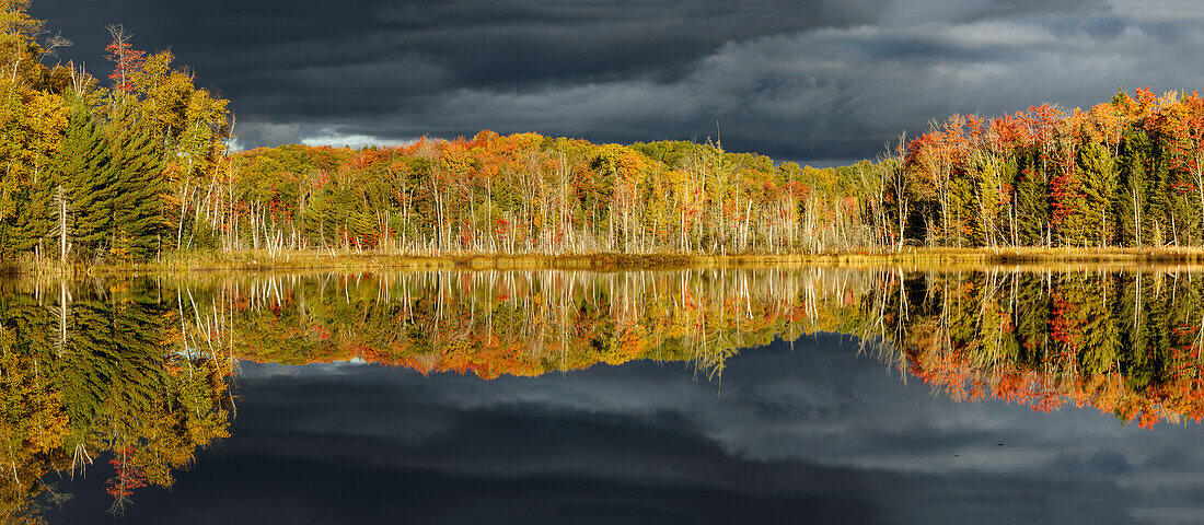 Küstenlinie von Red Jack Lake bei Sonnenaufgang, Hiawatha National Forest, obere Halbinsel von Michigan.