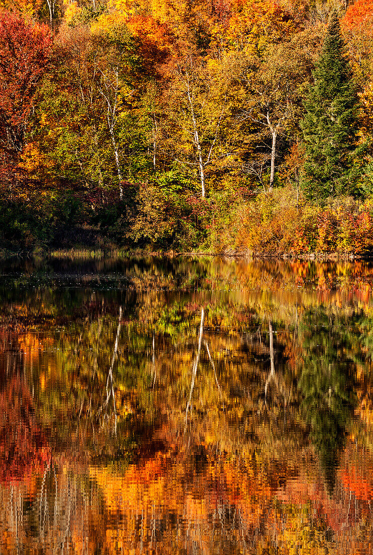 USA, New Hampshire, White Mountains, Herbst Reflexion über Coffin Pond