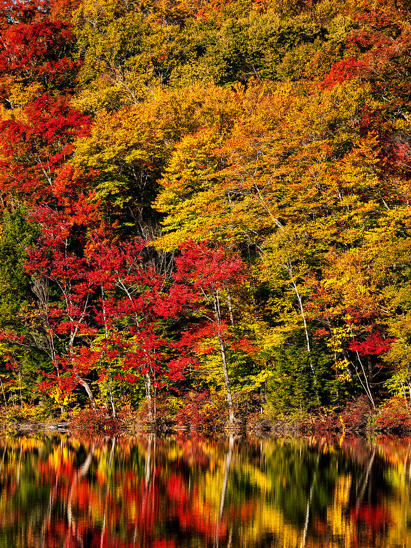 USA, New Hampshire, White Mountains, Fall reflection on Russell Pond