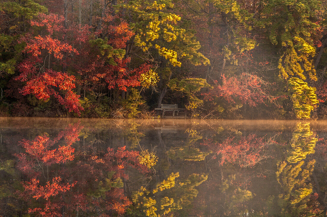 USA, New Jersey, Belleplain State Forest. Herbstbaumreflexionen auf See