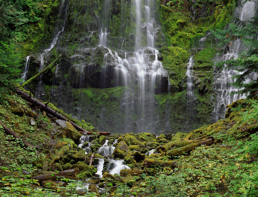 USA, Oregon, Cascade Range. Proxy Falls scenic