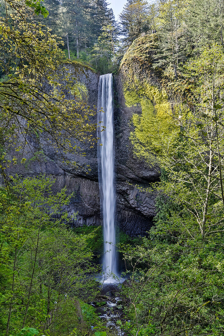Latourell Falls Columbia River Gorge National Scenic Area, Oregon