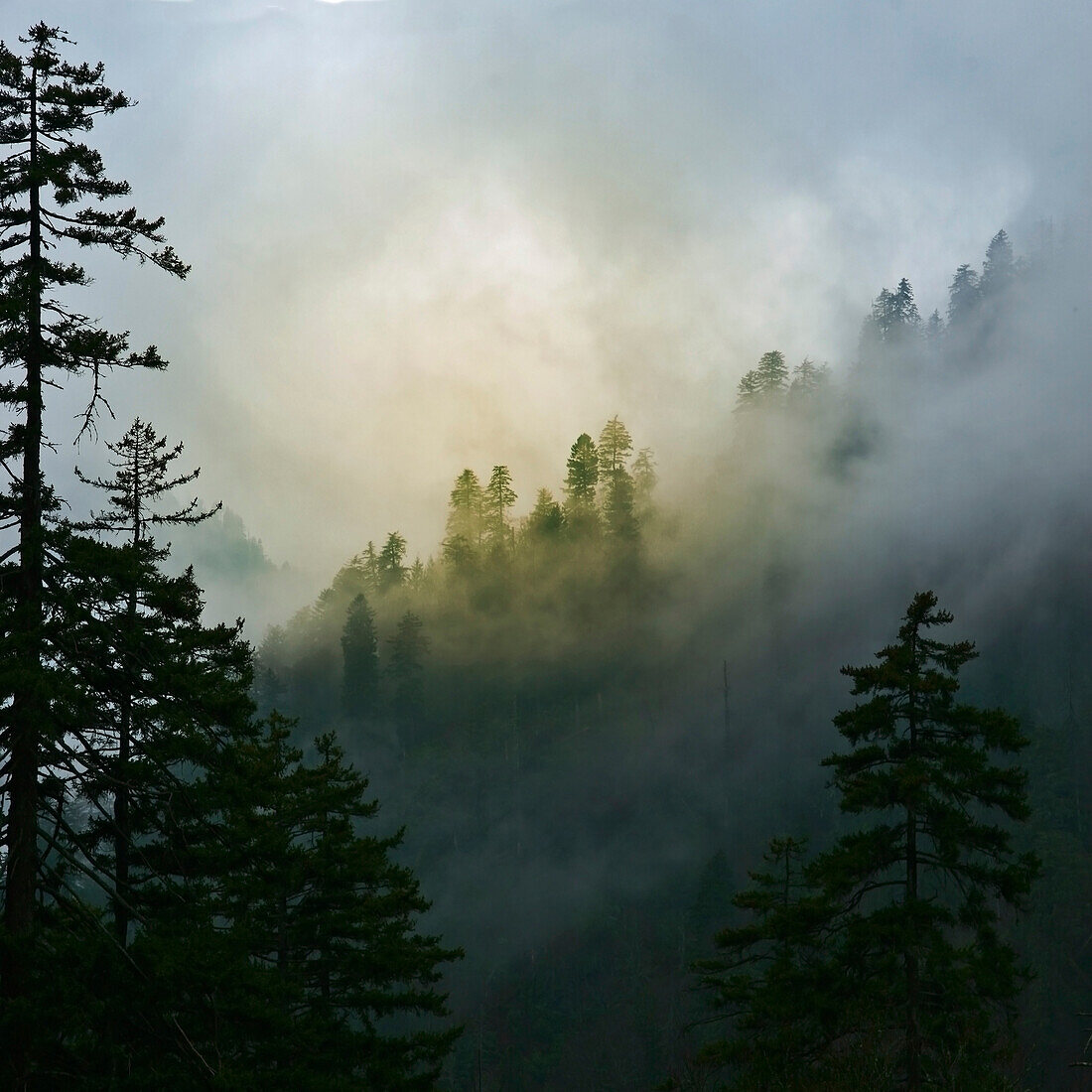 Bergwolken am neu entdeckten Gap, Smoky Mountains National Park, Tennessee, USA