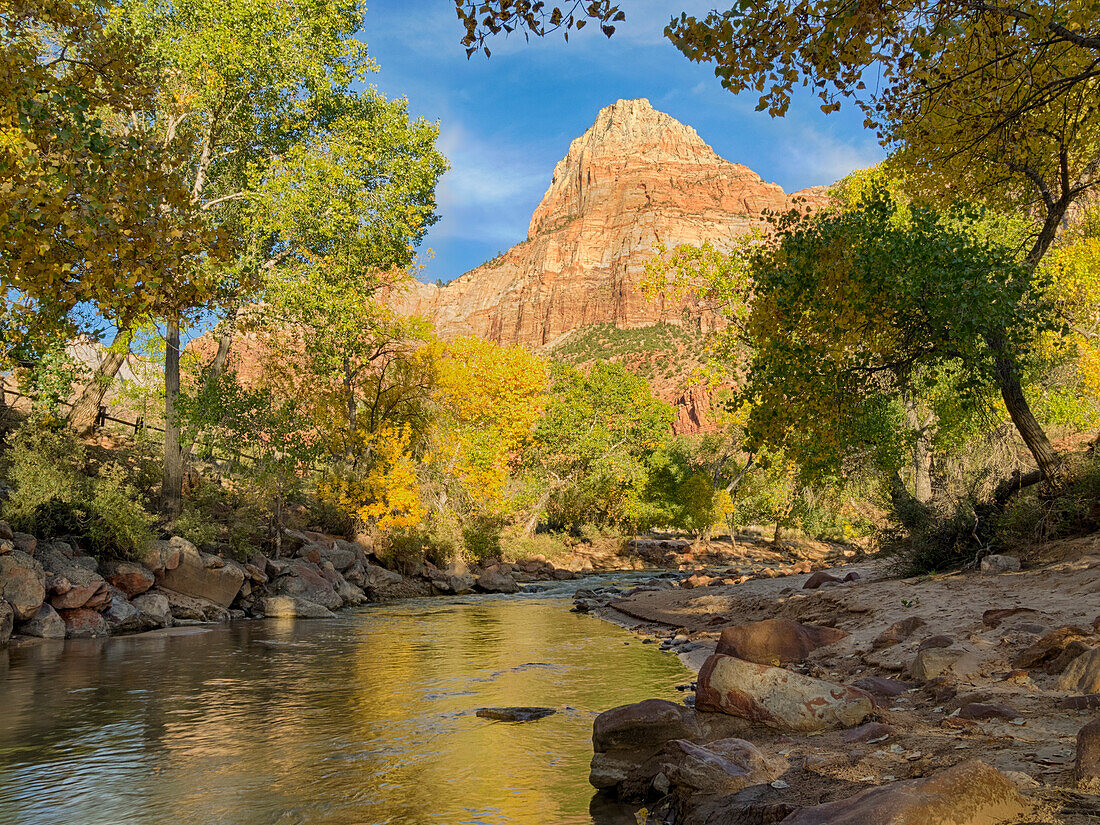 USA, Utah. Zion National Park, Virgin River and The Watchman