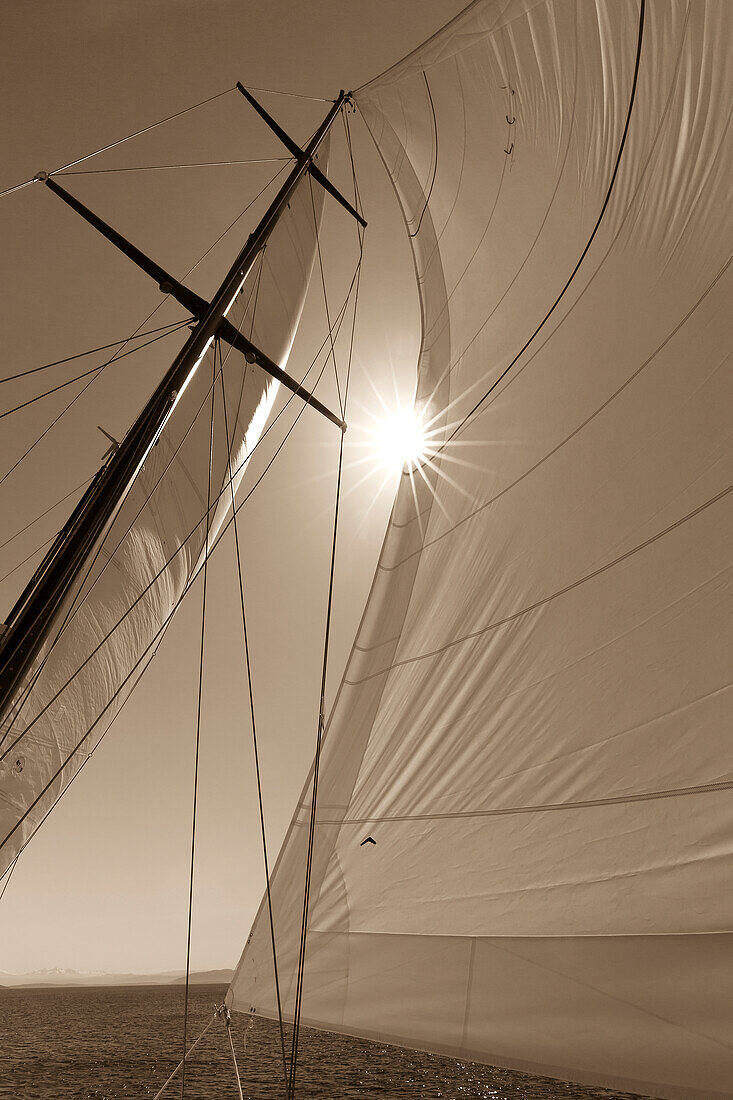 USA, Washington State, San Juan Islands. B&W of sunburst on sails