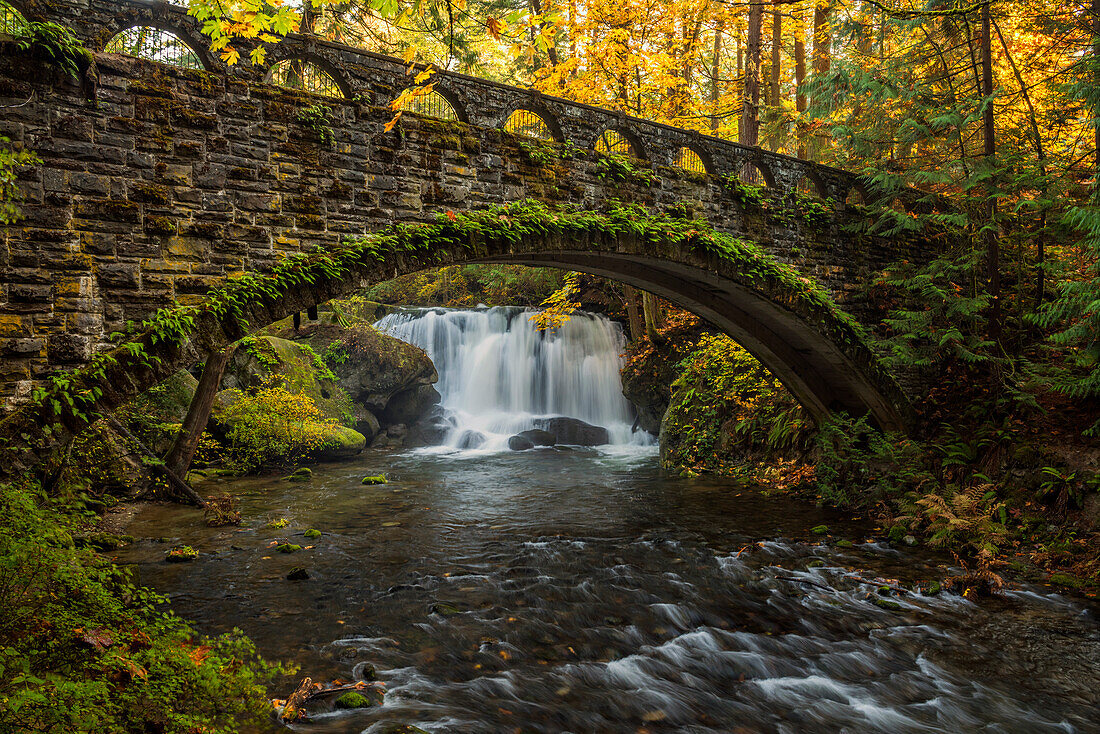 USA, Staat Washington, Whatcom Falls Park. Herbstlaub an der Whatcom Falls Bridge