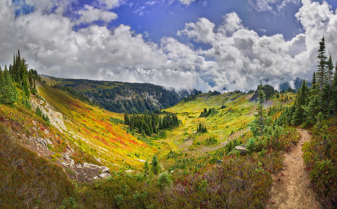 USA, Staat Washington, Mt. Rainier Nationalpark. Stevens Creek Valley vom Skyline Trial aus gesehen.