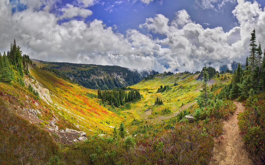 USA, Washington State, Mt. Rainier National Park. Stevens Creek Valley as seen from the Skyline Trial.