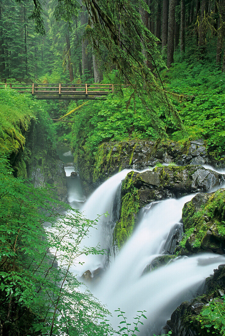 Washington State, Olympic National Park, Sol Duc Falls with bridge over Sol Duc River