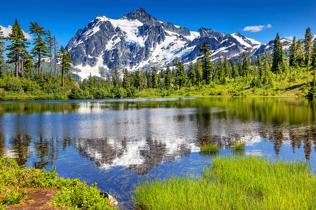 Picture Lake Evergreens Mount Shuksan Mount Baker Highway Snow Mountain Trees, Washington State, USA