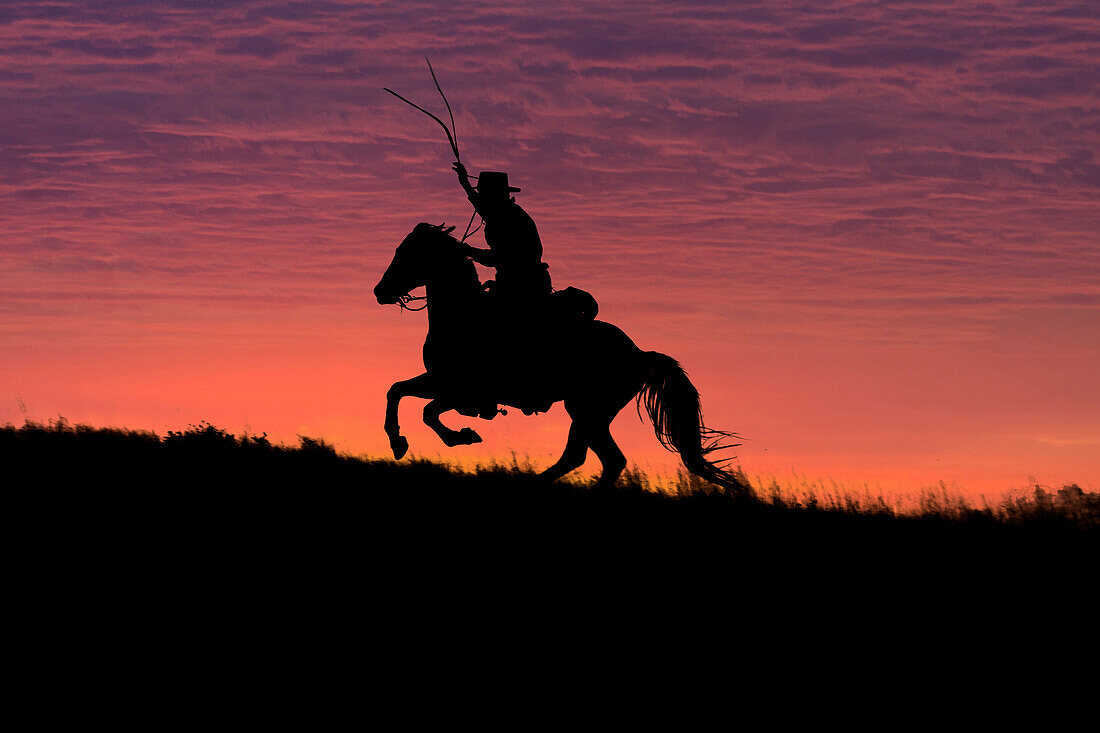 USA, Wyoming, Shell, The Hideout Ranch, Silhouette of Cowboy and Horse at Sunset