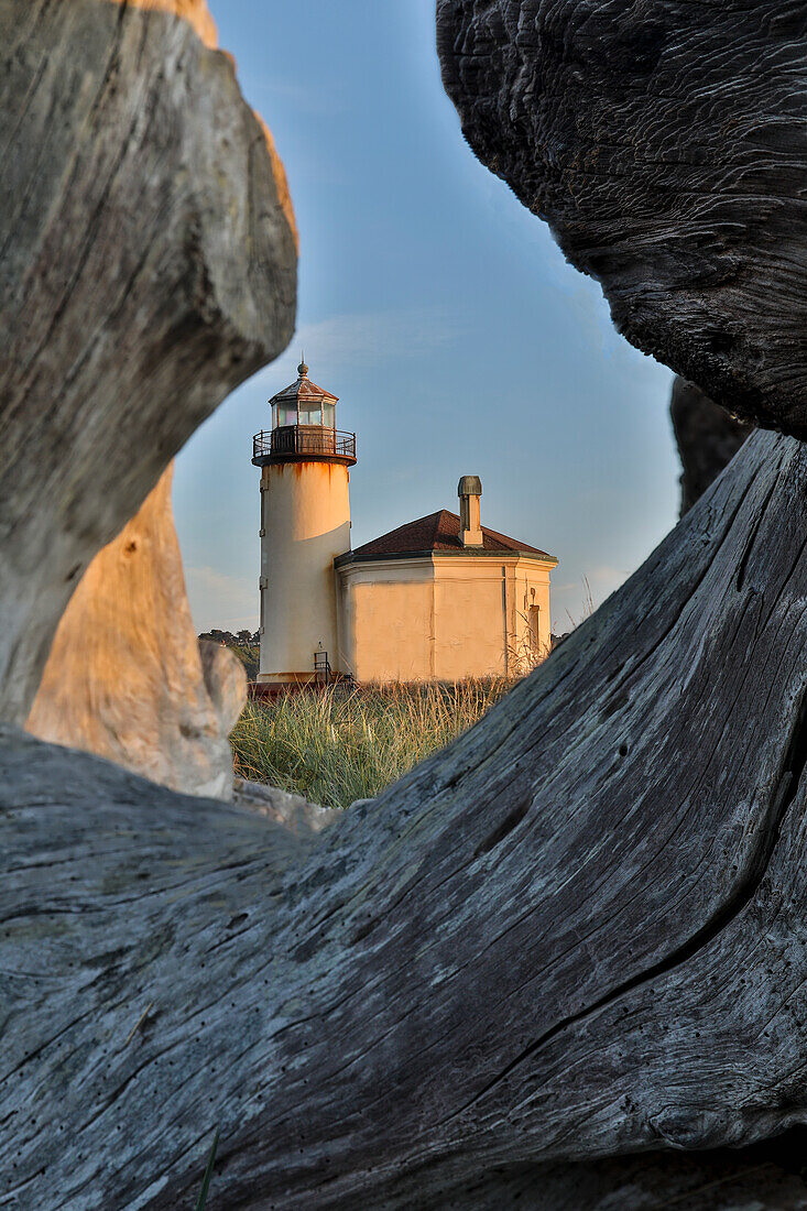 Evening light through drift logs Coquille River Lighthouse, Bullards Beach State Park, Oregon