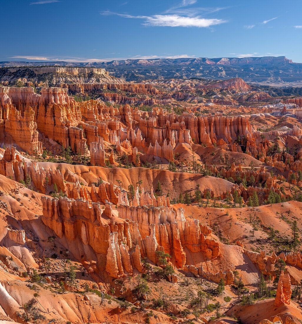 USA, Utah, Bryce Canyon National Park, Colorful hoodoos in Bryce Amphitheater, view east from Sunset Point.
