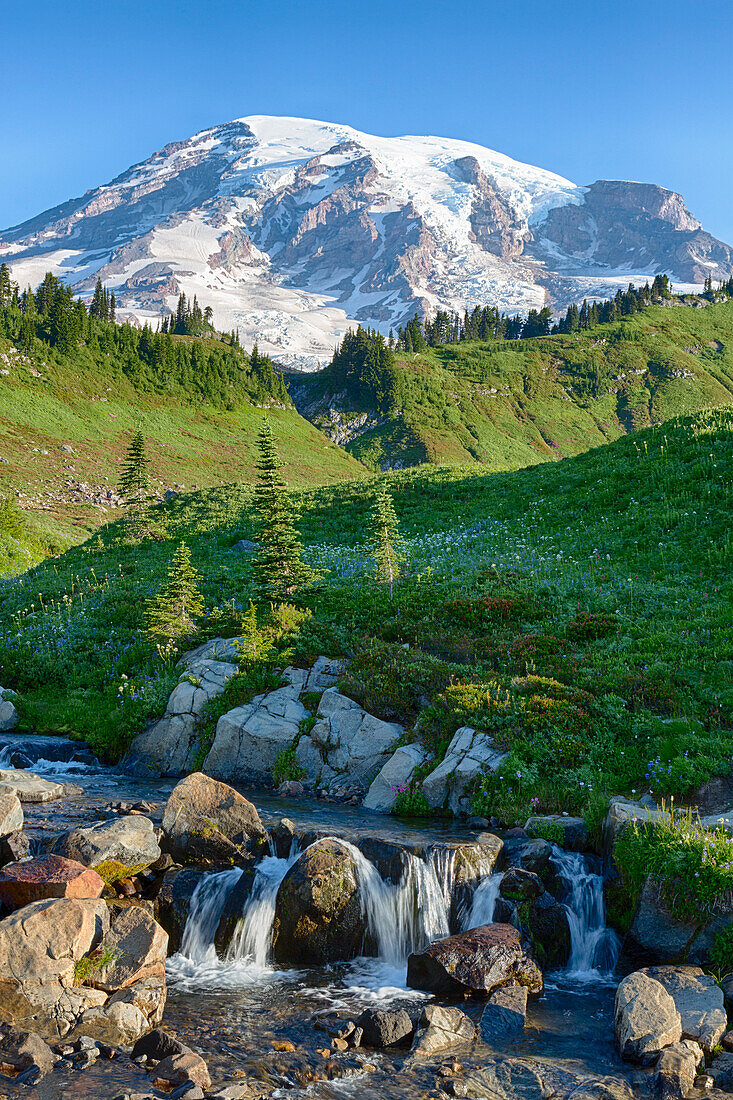 WA, Mount Rainier National Park, Edith Creek and Mount Rainier