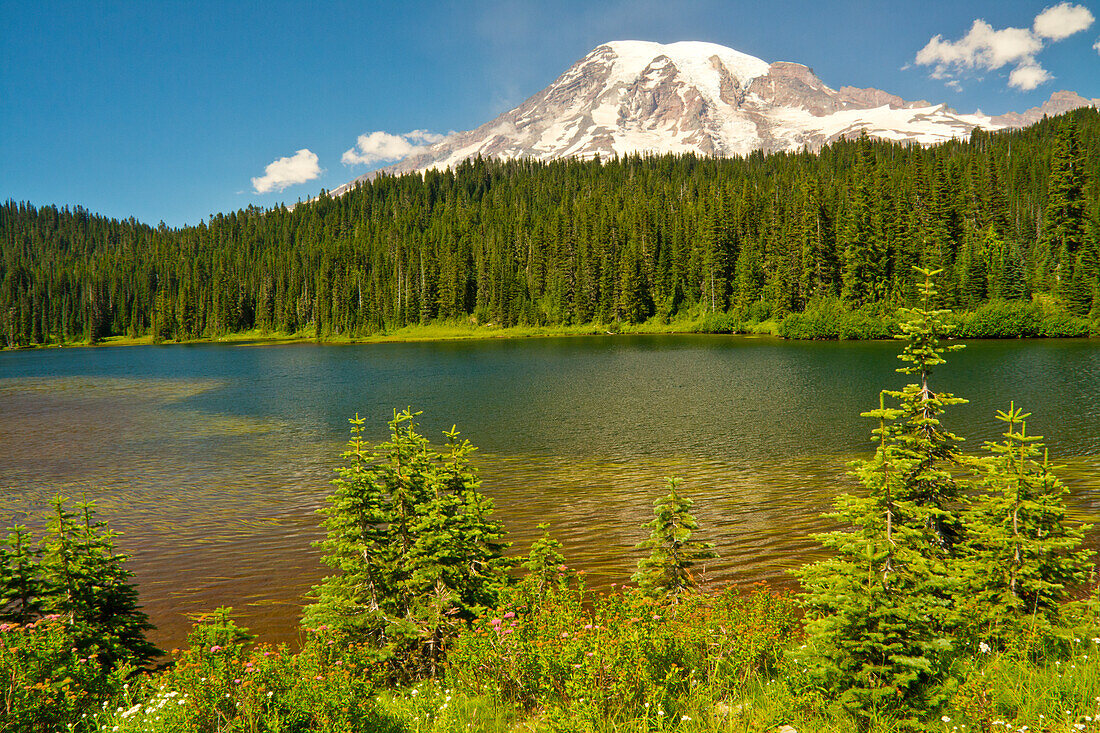 Mount Rainier and Reflection Lake; Mount Rainier National Park; Washington; USA