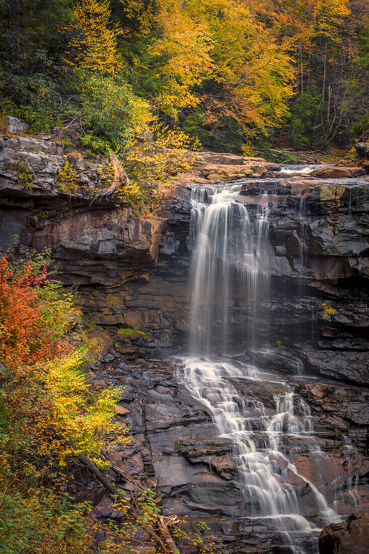 USA, West Virginia, Blackwater Falls State Park. Wasserfall und Waldlandschaft.