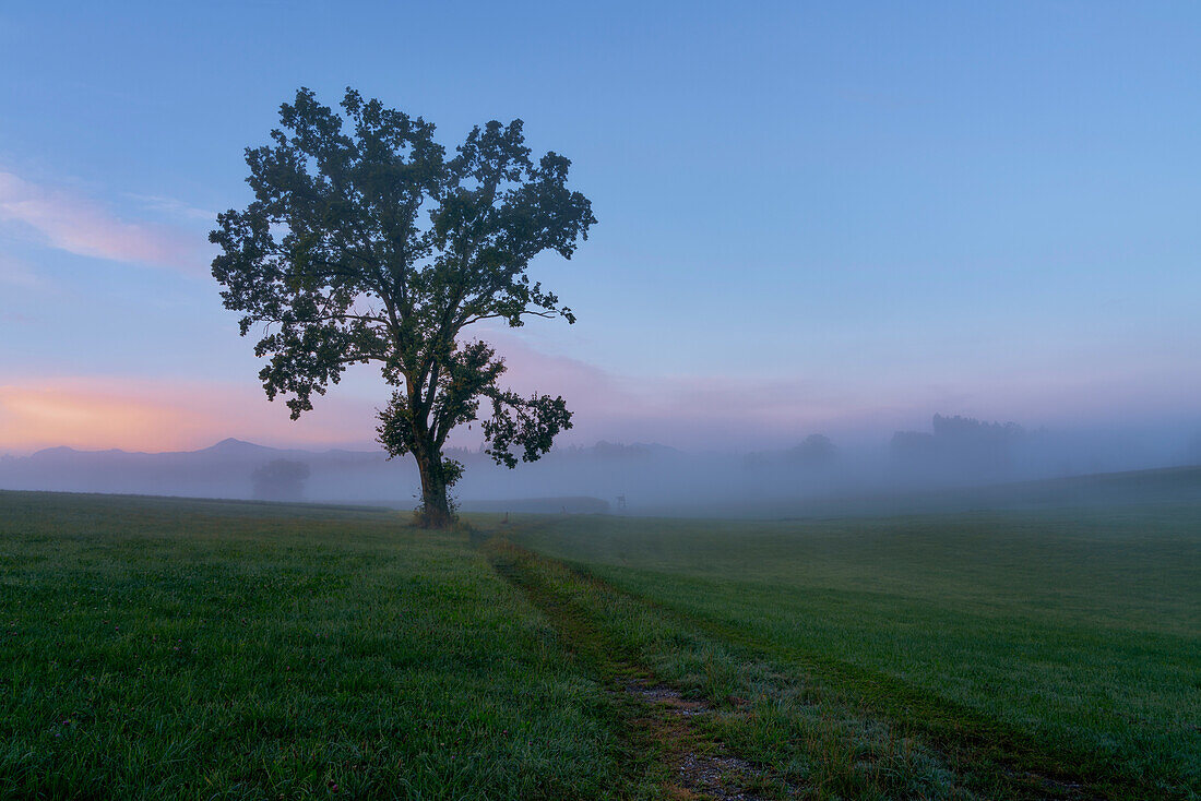 Picturesque foggy morning near Sindelsdorf, Bavaria, Germany