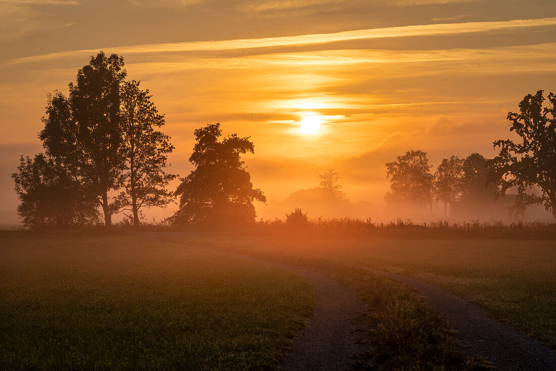 Malerischer Septembermorgen bei Unterhausen, Weilheim, Oberbayern, Bayern, Deutschland