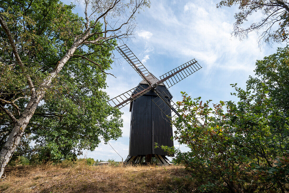 Post mill at Gülper See, nature reserve, Prietzen, Brandenburg, Germany