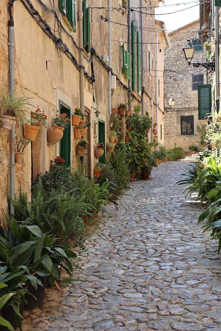 Alley with typical wall pot garden in Valldemossa, Mallorca