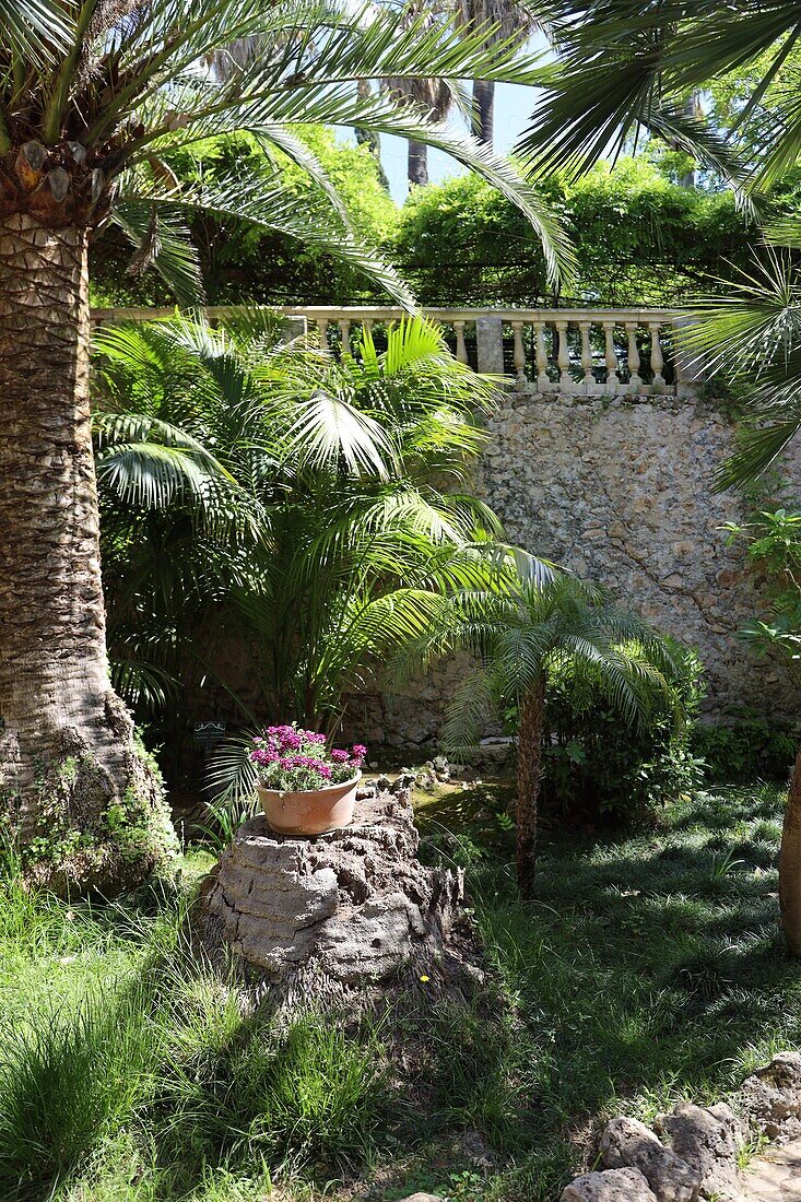 Gärten 'Jardines de Alfabia', Bunyola, Serra de Tramuntana, Mallorca, Balearen, Spanien
