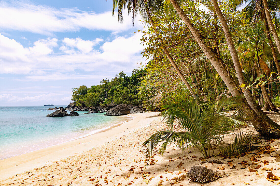 Praia Banana on the island of Príncipe in West Africa