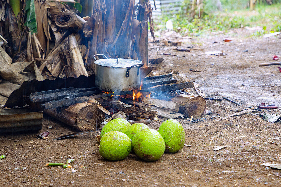 offene Feuerstelle mit Kochtopf und Brotfrüchten im Dorf der Roça Belo Monte auf der Insel Principé in Westafrika, Sao Tomé e Príncipe