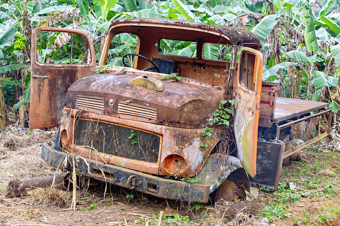rusted British old truck wreck on the edge of a banana plantation on the island of Principé in West Africa