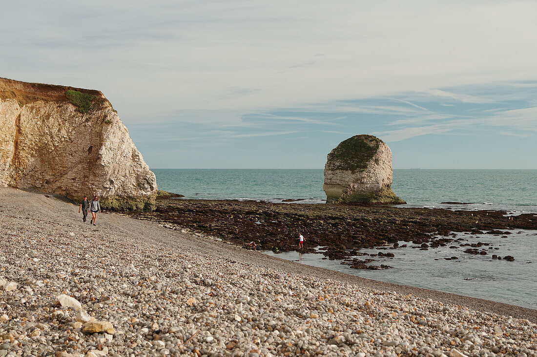 Chalk cliffs on the Isle of Wight coast at Freshwater Bay during low tide