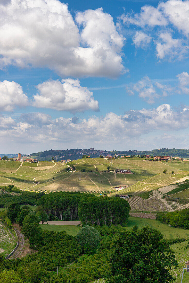 Die Hügel und Weinberge der Langhe, im Frühjahr, in der Nähe von Neive, Cuneo, Piemont, Italien.